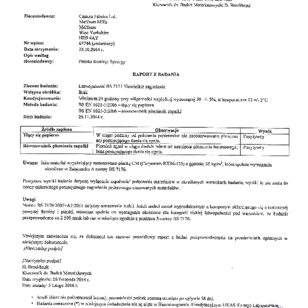 synergy - tlumaczenie trudnopalnosc